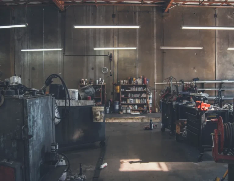 Accumsan Winonisl Misi Scelerisque